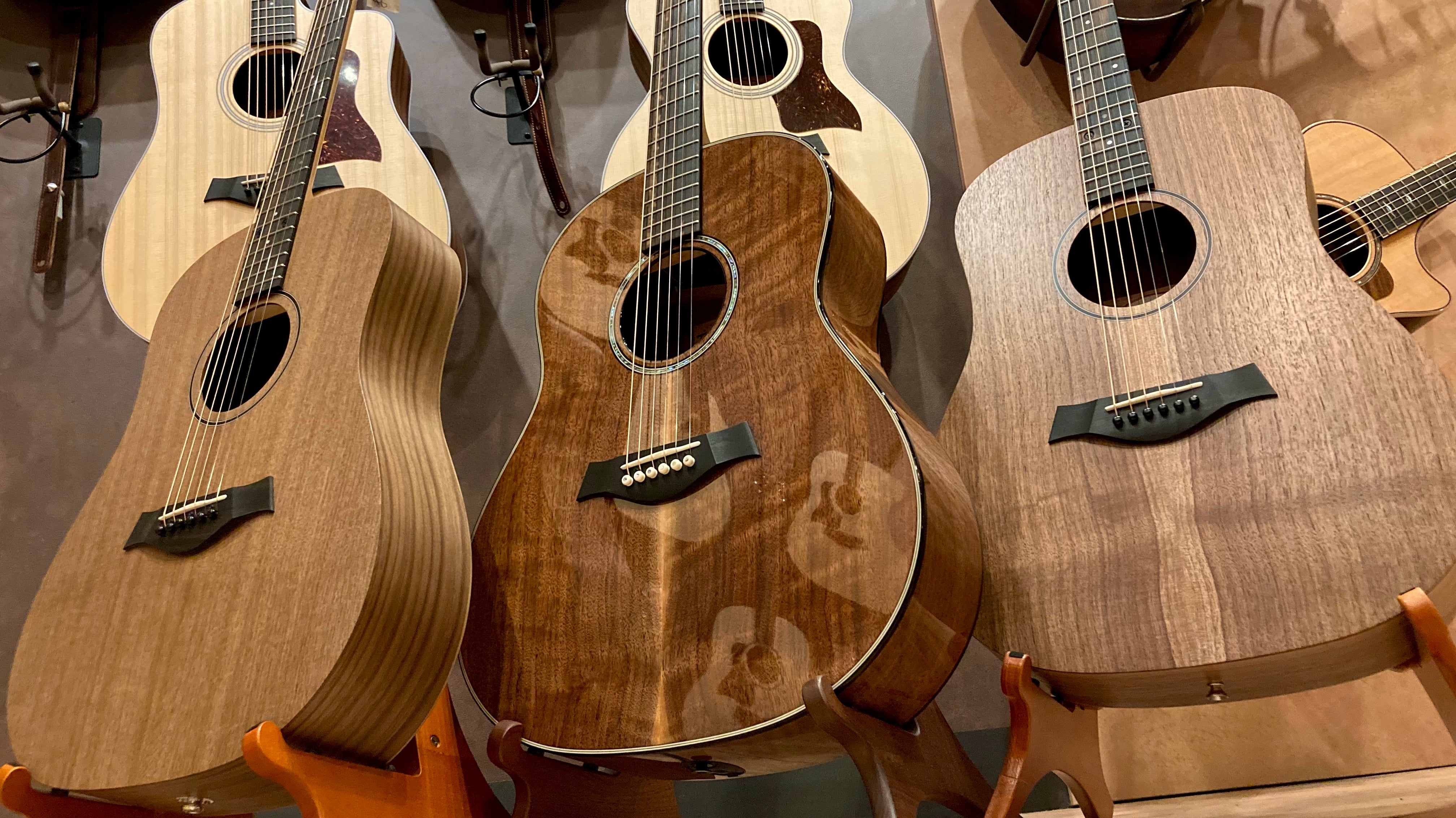 The Guitar You Never Knew You NEEDED!