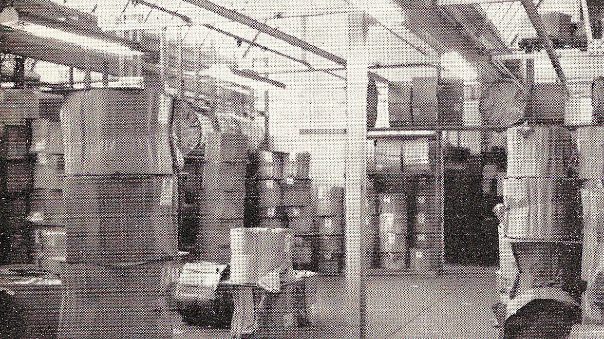 Rose Morris 1968 to 1970: Military Division