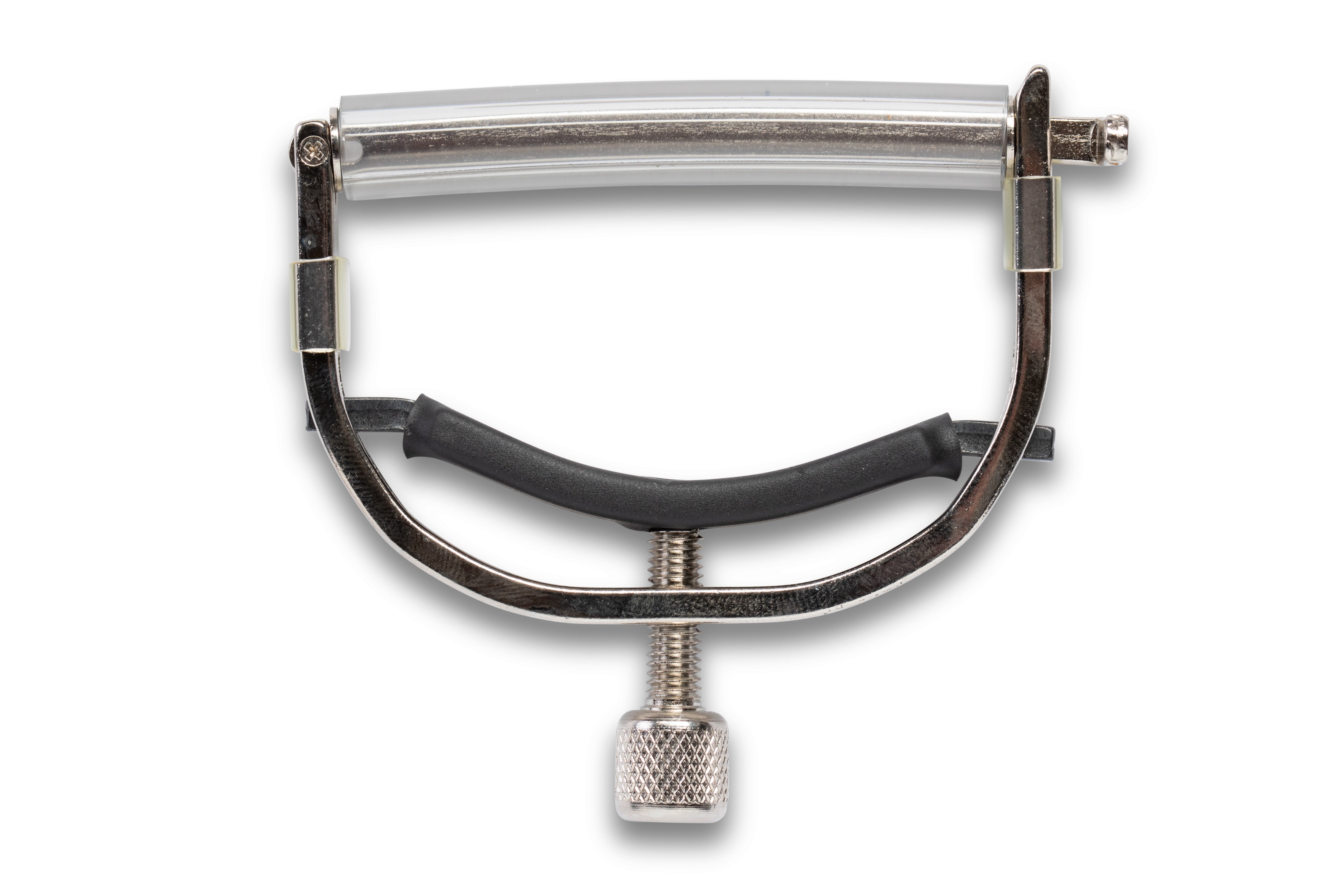 Taylor Capo, 12-String/Nylon