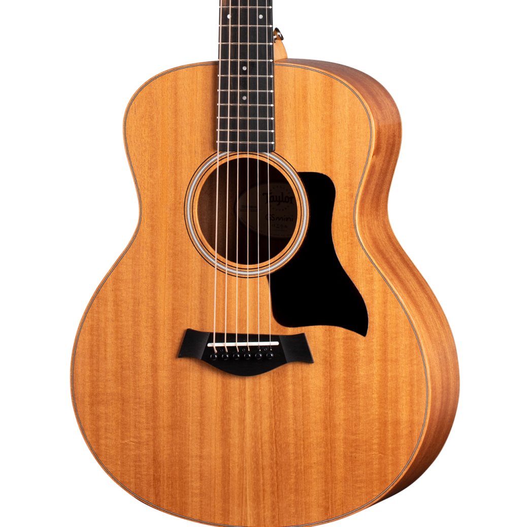 Taylor GS Mini-e Mahogany – Rose-Morris