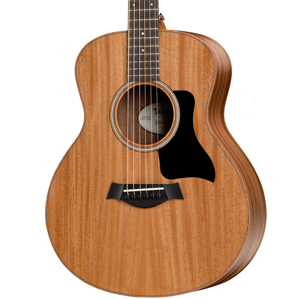 Taylor GS Mini Mahogany – Rose-Morris